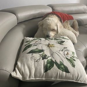 Meet your Posher, Yen